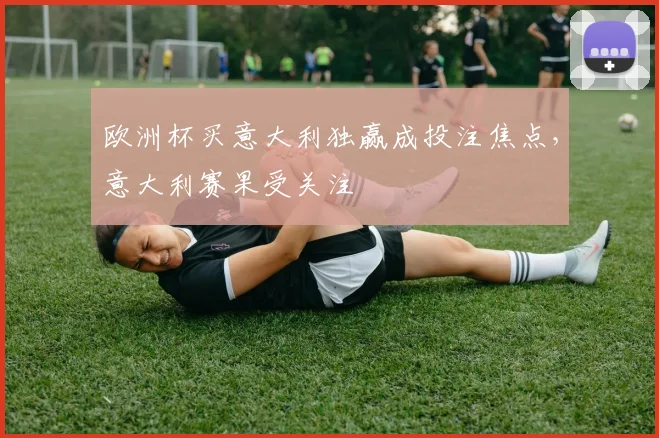 欧洲杯买意大利独赢成投注焦点,意大利赛果受关注