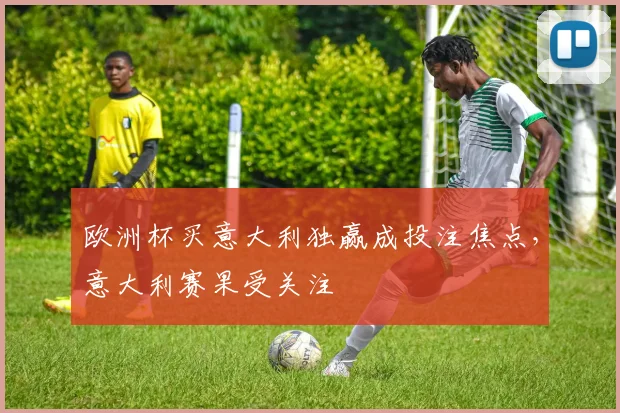 欧洲杯买意大利独赢成投注焦点,意大利赛果受关注